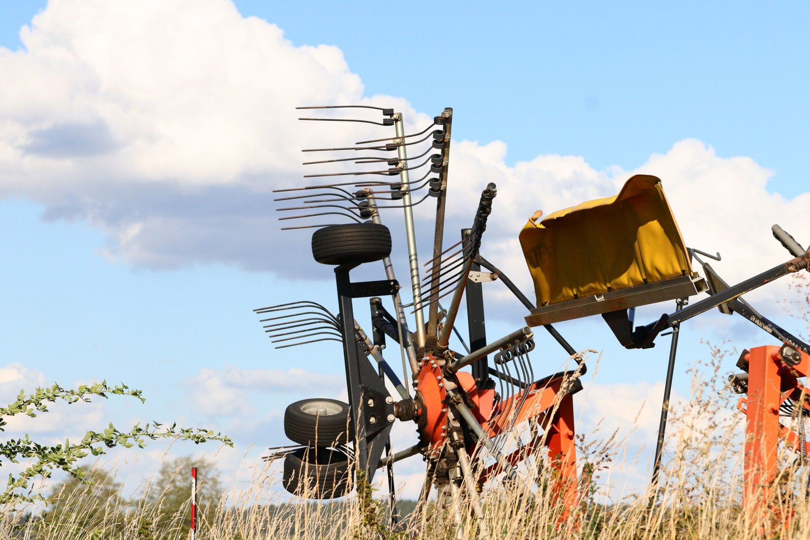 What Is Farm-to-Table Technology? 
