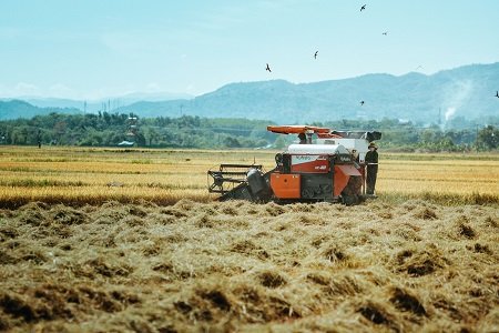 What Is Farm-to-Table Technology?
